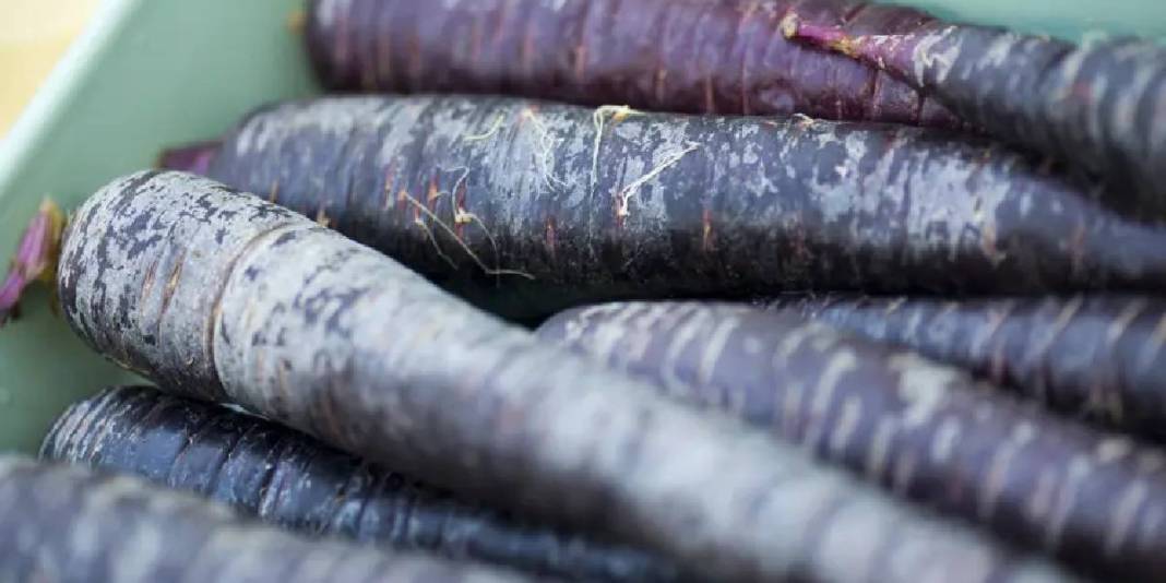 Havalar soğudu satışlar patladı! 30’u aşkın ülkeye ihraç ediliyor: Kış ayını kimse onsuz geçirmiyor 1